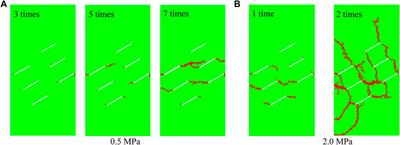 Numerical simulations of fatigue failure processes in intermittent jointed rock masses under the action of repeated stress waves